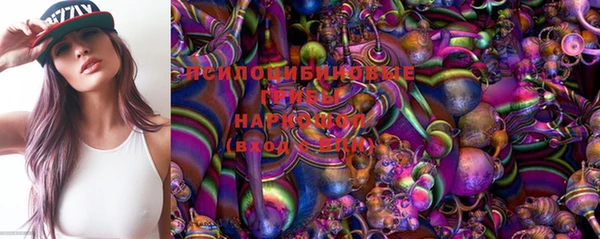 МДМА Бородино