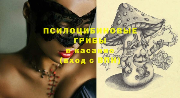 МДМА Бородино